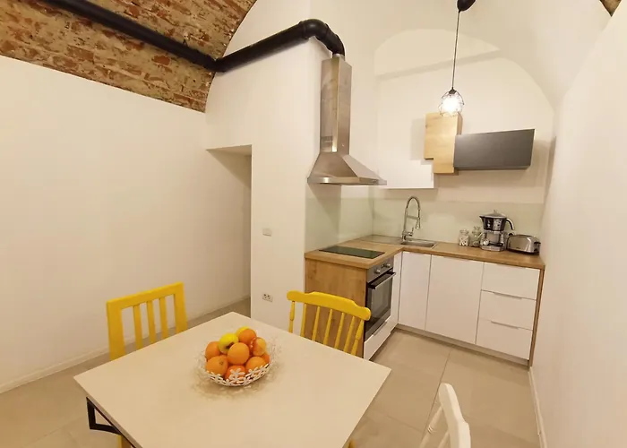 Art & Cozy Appartement Timişoara